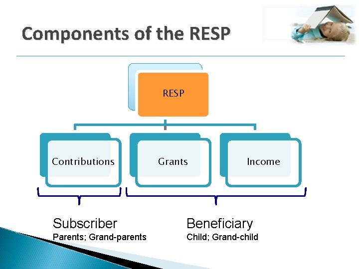 Components of the RESP Contributions Grants Income Subscriber Beneficiary Parents; Grand-parents Child; Grand-child 