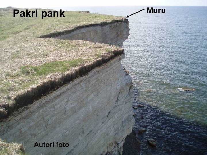 Pakri pank Autori foto Muru 