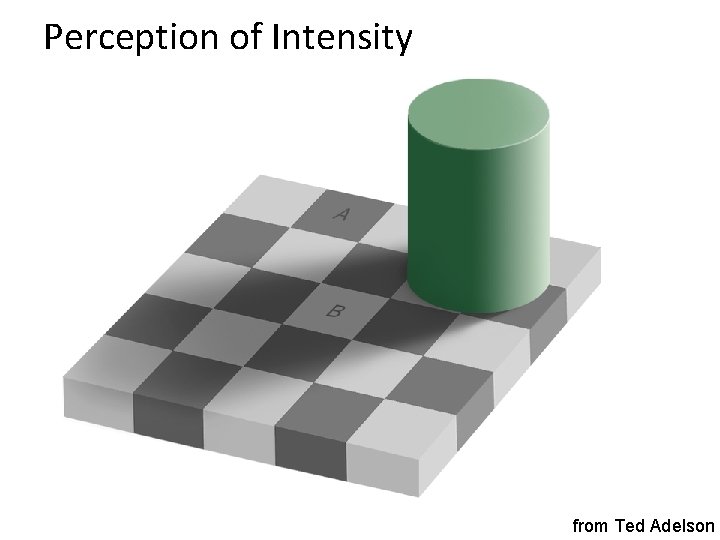 Perception of Intensity from Ted Adelson 