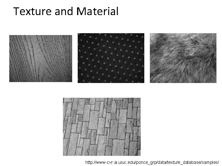 Texture and Material http: //www-cvr. ai. uiuc. edu/ponce_grp/data/texture_database/samples/ 