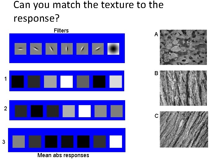 Can you match the texture to the response? Filters A B 1 2 C