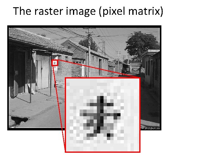 The raster image (pixel matrix) 