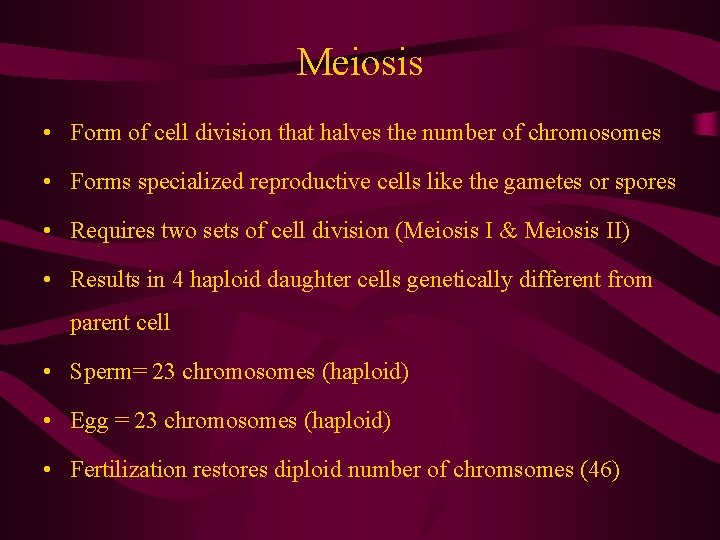 Meiosis • Form of cell division that halves the number of chromosomes • Forms