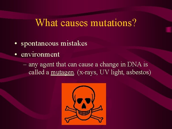 What causes mutations? • spontaneous mistakes • environment – any agent that can cause