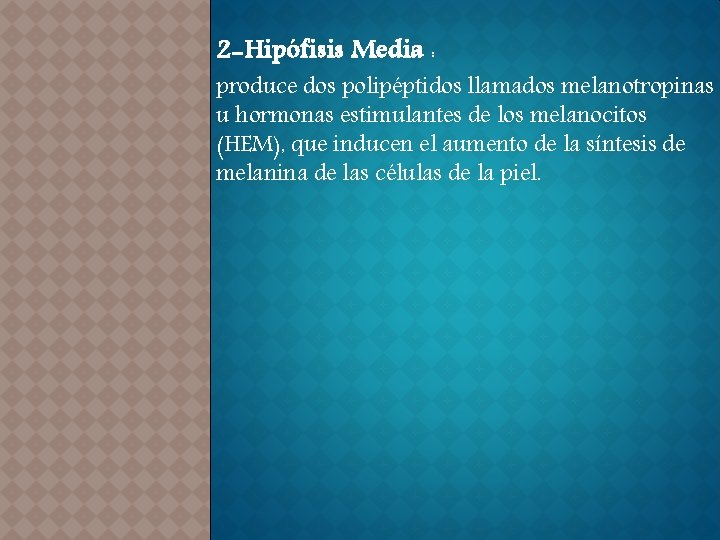 2 -Hipófisis Media : produce dos polipéptidos llamados melanotropinas u hormonas estimulantes de los