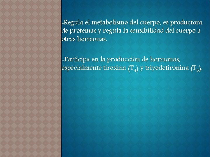 -Regula el metabolismo del cuerpo, es productora de proteínas y regula la sensibilidad del