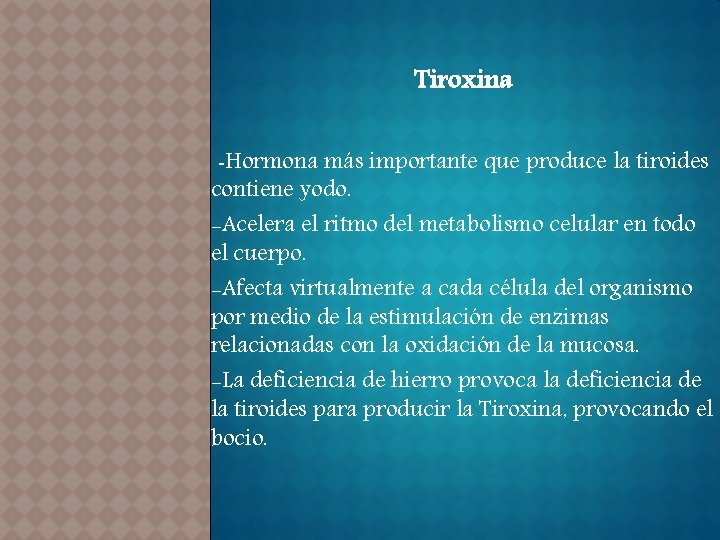 Tiroxina -Hormona más importante que produce la tiroides contiene yodo. -Acelera el ritmo del