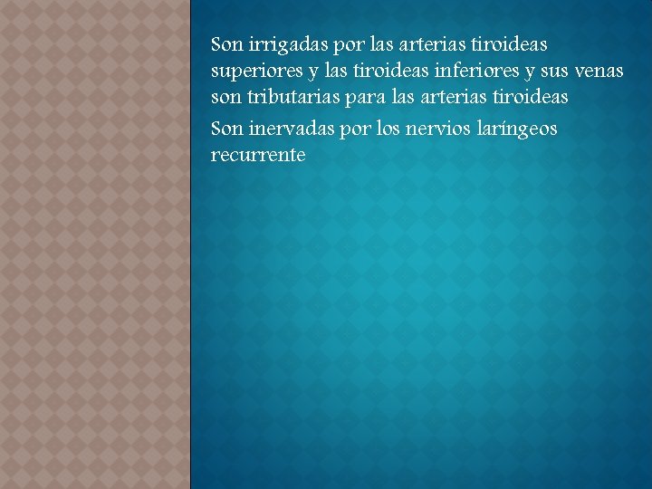 Son irrigadas por las arterias tiroideas superiores y las tiroideas inferiores y sus venas