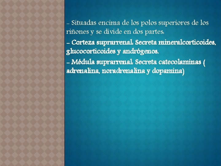 - Situadas encima de los polos superiores de los riñones y se divide en