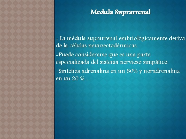 Medula Suprarrenal - La médula suprarrenal embriológicamente deriva de la células neuroectodérmicas. -Puede considerarse