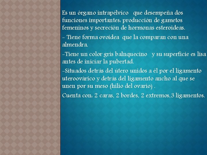 Es un órgano intrapélvico que desempeña dos funciones importantes: producción de gametos femeninos y