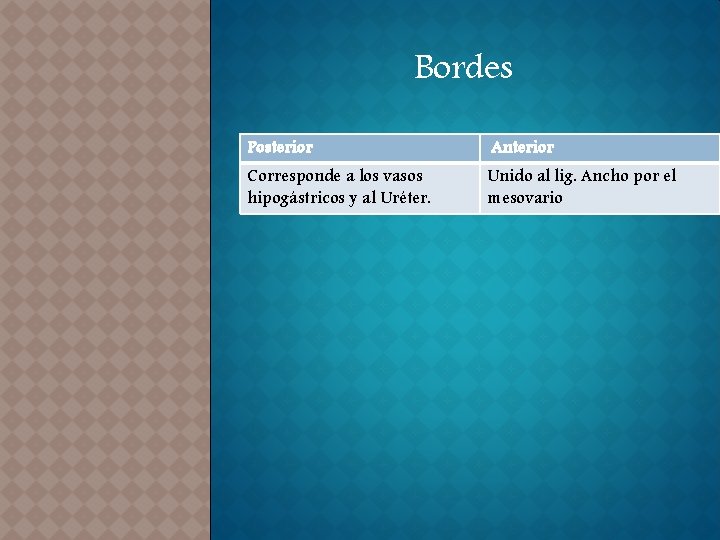 Bordes Posterior Anterior Corresponde a los vasos hipogástricos y al Uréter. Unido al lig.