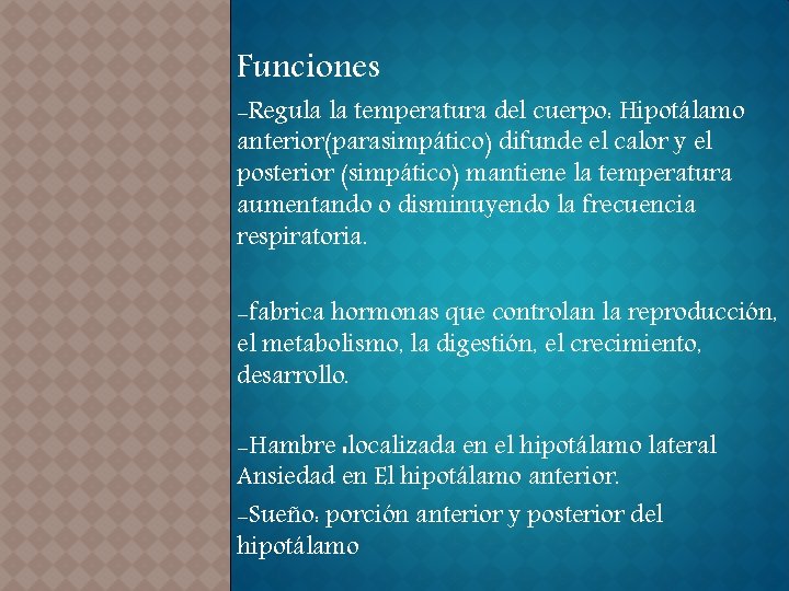 Funciones -Regula la temperatura del cuerpo: Hipotálamo anterior(parasimpático) difunde el calor y el posterior