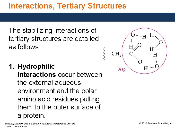 Interactions, Tertiary Structures The stabilizing interactions of tertiary structures are detailed as follows: 1.