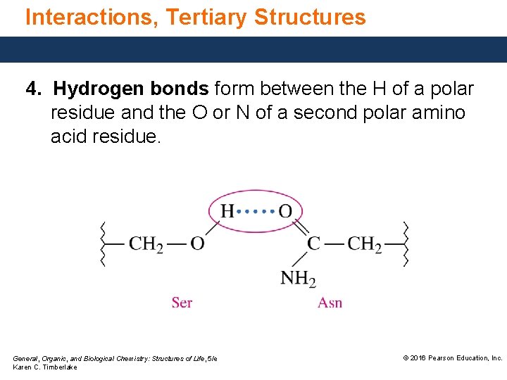 Interactions, Tertiary Structures 4. Hydrogen bonds form between the H of a polar residue