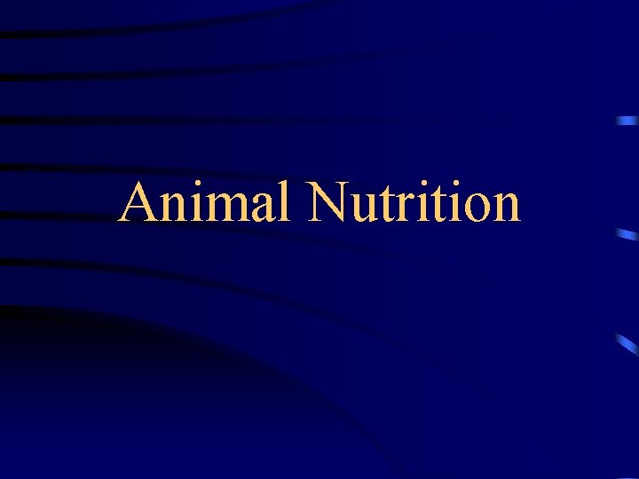 Animal Nutrition 