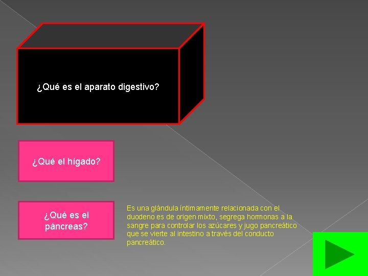 ¿Qué es el aparato digestivo? ¿Qué el hígado? ¿Qué es el páncreas? Es una