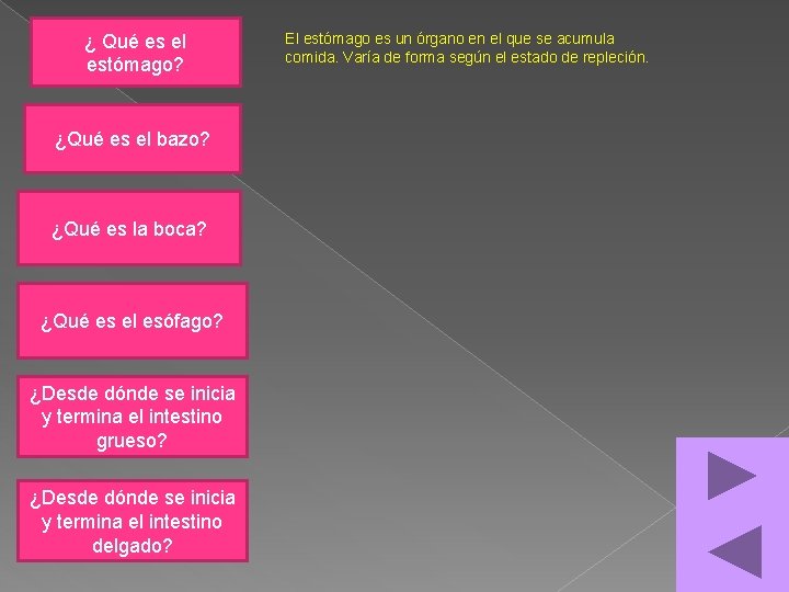 ¿ Qué es el estómago? ¿Qué es el bazo? ¿Qué es la boca? ¿Qué