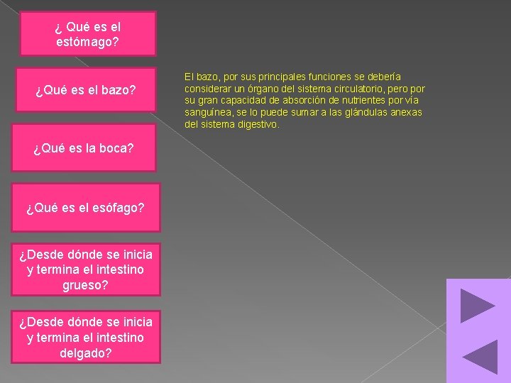 ¿ Qué es el estómago? ¿Qué es el bazo? ¿Qué es la boca? ¿Qué