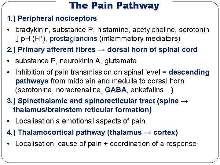 The Pain Pathway 1. ) Peripheral nociceptors • bradykinin, substance P, histamine, acetylcholine, serotonin,