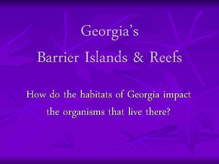 Georgia’s Barrier Islands & Reefs How do the habitats of Georgia impact the organisms