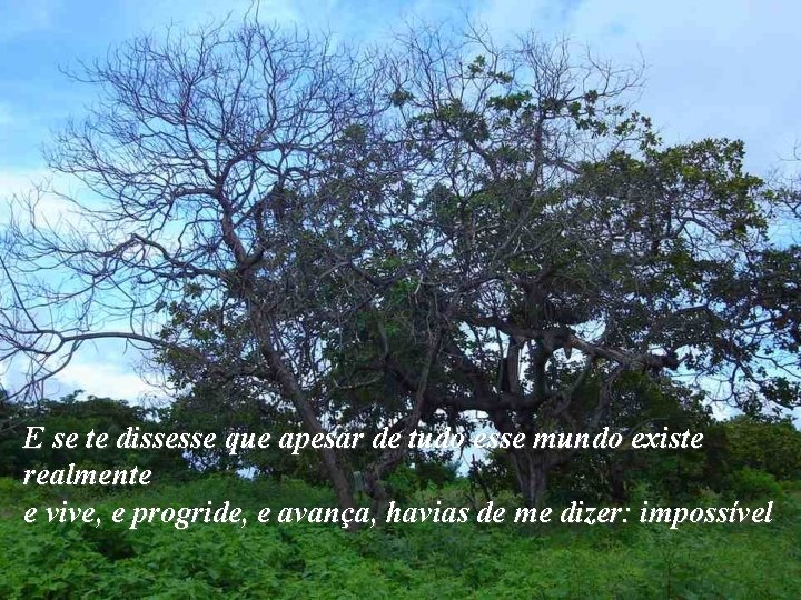 E se te dissesse que apesar de tudo esse mundo existe realmente e vive,