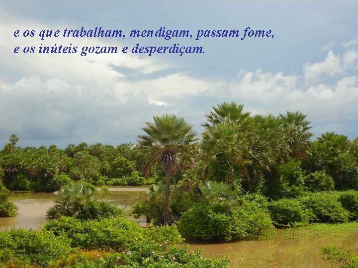 e os que trabalham, mendigam, passam fome, e os inúteis gozam e desperdiçam. 