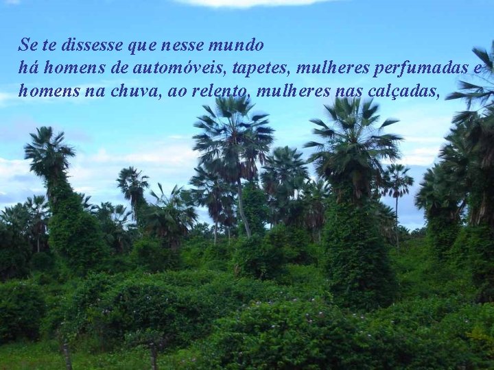 Se te dissesse que nesse mundo há homens de automóveis, tapetes, mulheres perfumadas e