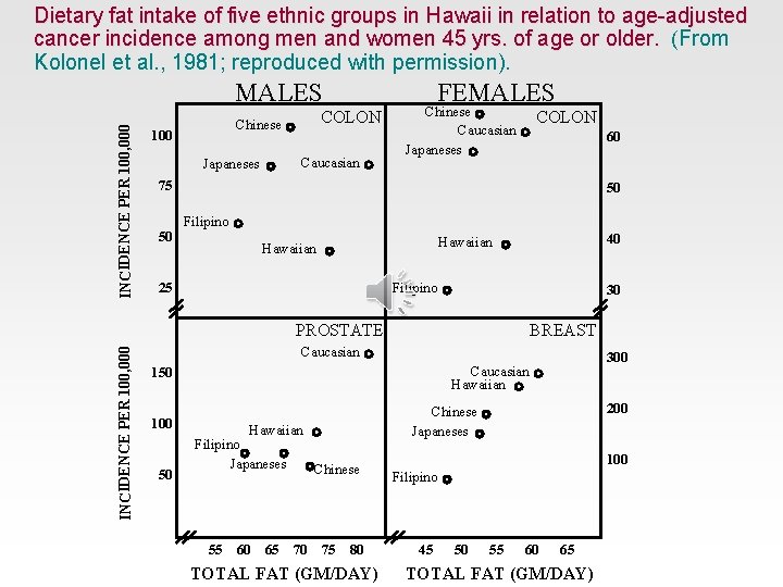 Dietary fat intake of five ethnic groups in Hawaii in relation to age-adjusted cancer