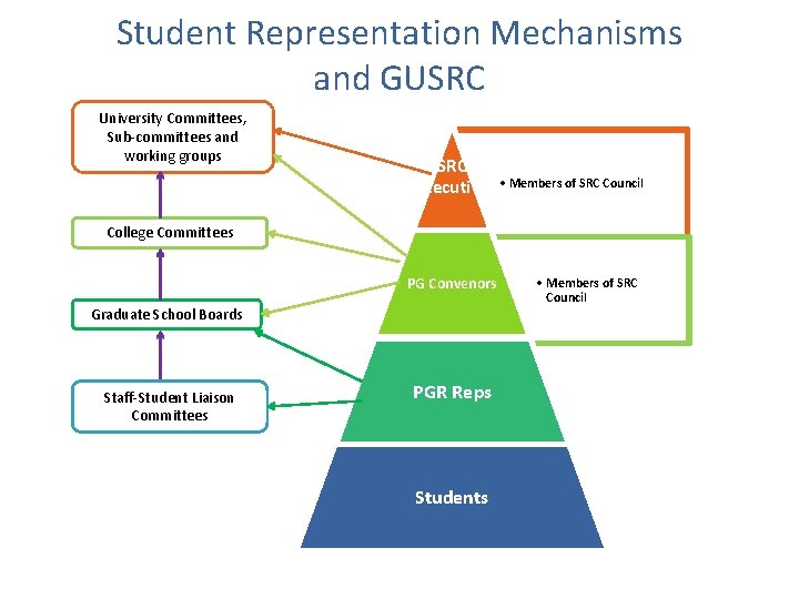 Student Representation Mechanisms and GUSRC University Committees, Sub-committees and working groups SRC executive •