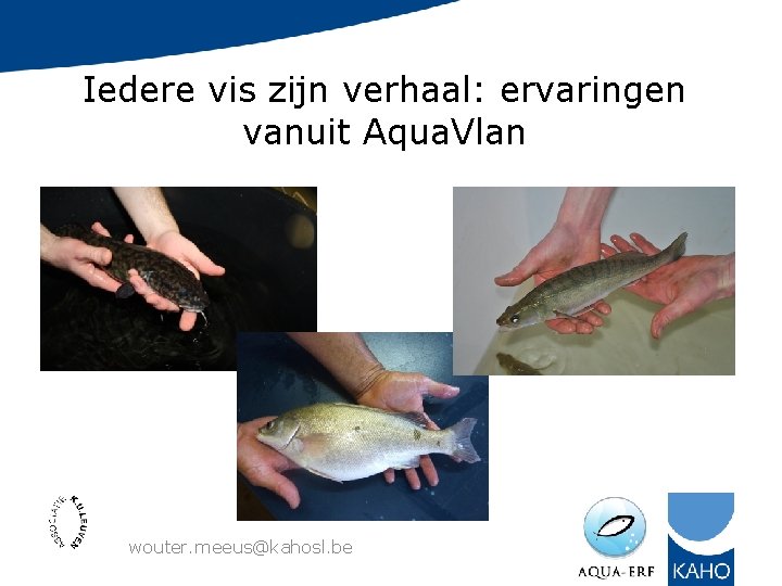 Iedere vis zijn verhaal: ervaringen vanuit Aqua. Vlan wouter. meeus@kahosl. be 