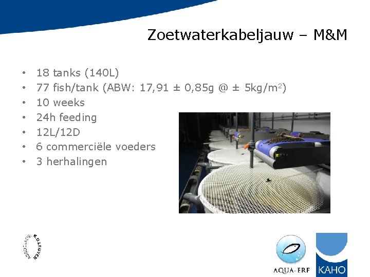 Zoetwaterkabeljauw – M&M • • 18 tanks (140 L) 77 fish/tank (ABW: 17, 91