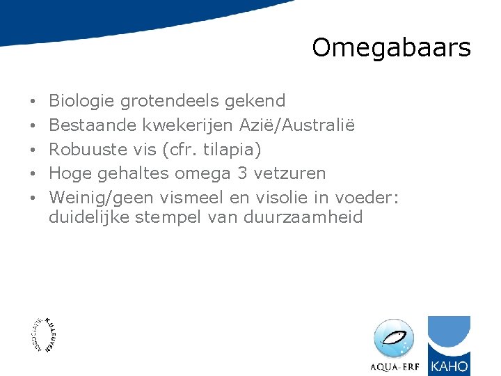 Omegabaars • • • Biologie grotendeels gekend Bestaande kwekerijen Azië/Australië Robuuste vis (cfr. tilapia)