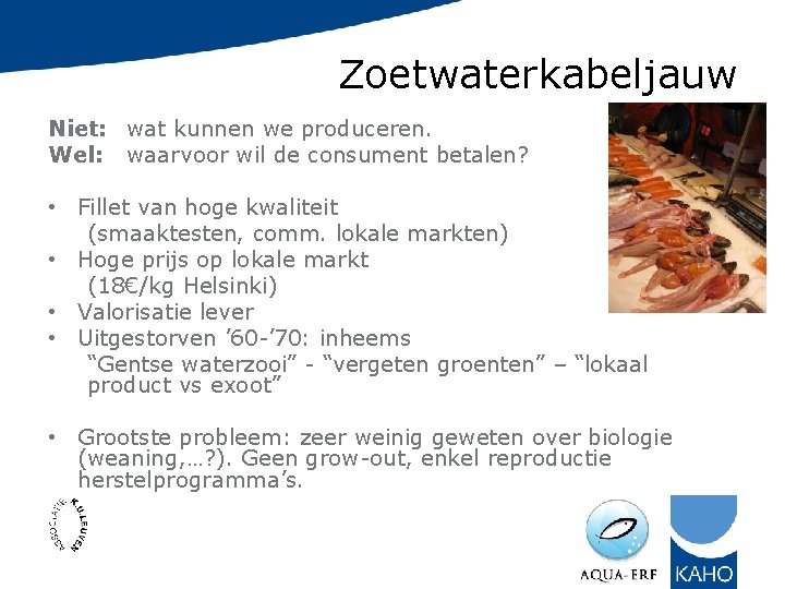 Zoetwaterkabeljauw Niet: wat kunnen we produceren. Wel: waarvoor wil de consument betalen? • Fillet