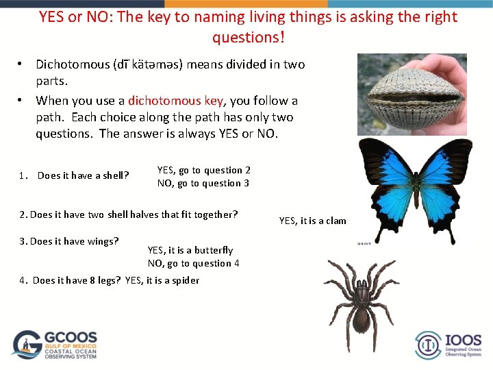 YES or NO: The key to naming living things is asking the right questions!