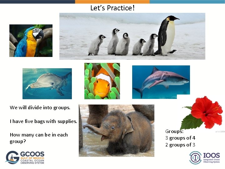 Let’s Practice! We will divide into groups. I have five bags with supplies. How