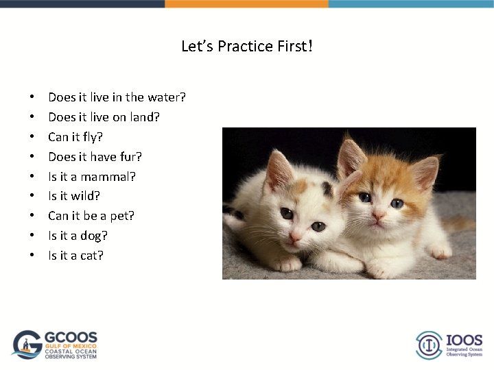 Let’s Practice First! • • • Does it live in the water? Does it