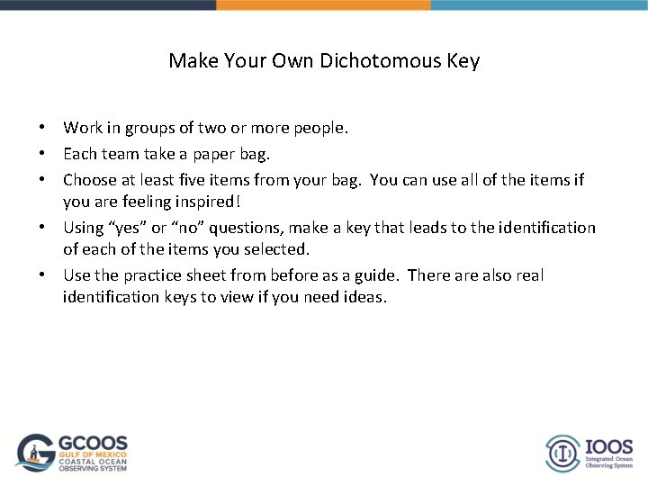 Make Your Own Dichotomous Key • Work in groups of two or more people.