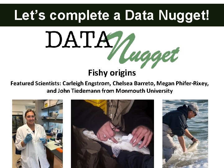 Let’s complete a Data Nugget! _ Fishy origins Featured Scientists: Carleigh Engstrom, Chelsea Barreto,