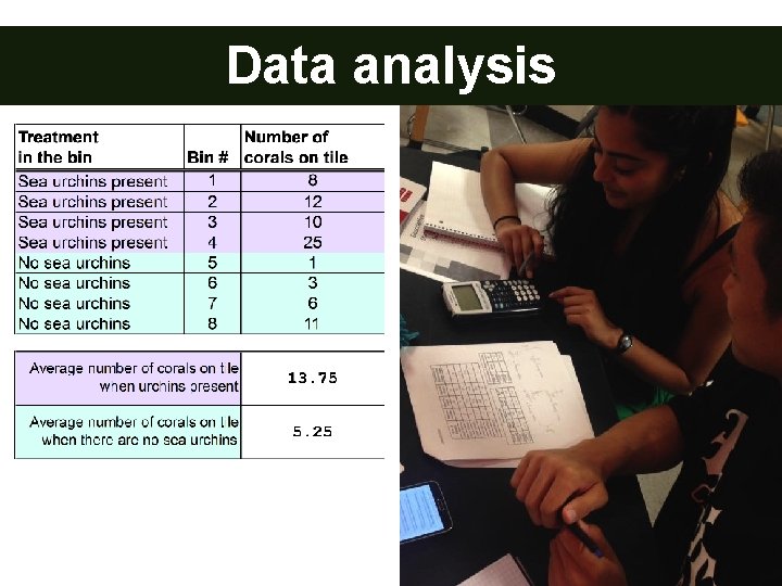 Data analysis _ 