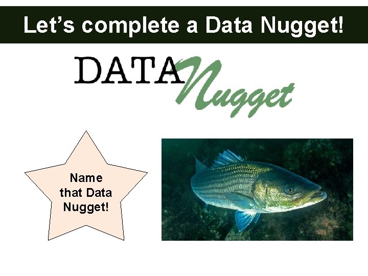 Let’s complete a Data Nugget! _ Name that Data Nugget! 