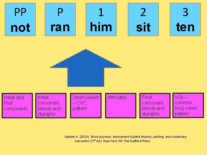 PP not Initial and final consonants P ran Initial consonant blends and digraphs 1