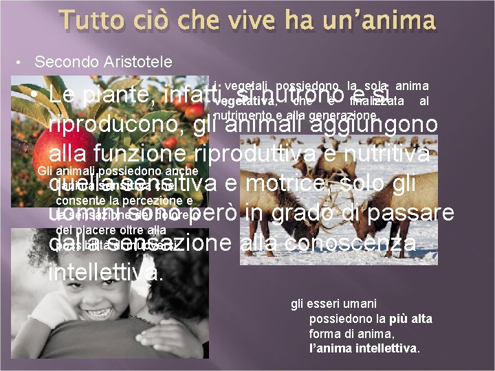 Tutto ciò che vive ha un’anima • Secondo Aristotele i vegetali possiedono la sola