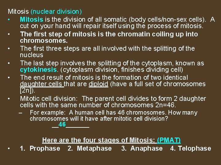 Mitosis (nuclear division) • Mitosis is the division of all somatic (body cells/non-sex cells).