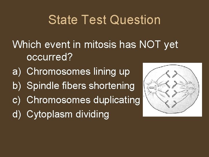 State Test Question Which event in mitosis has NOT yet occurred? a) Chromosomes lining