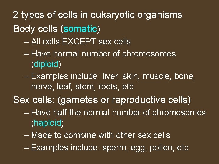 2 types of cells in eukaryotic organisms Body cells (somatic) – All cells EXCEPT