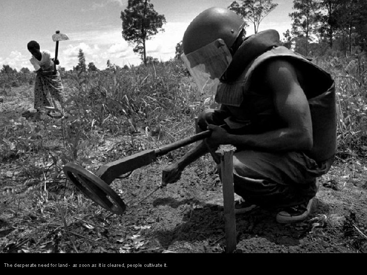 The desperate need for land - as soon as it is cleared, people cultivate