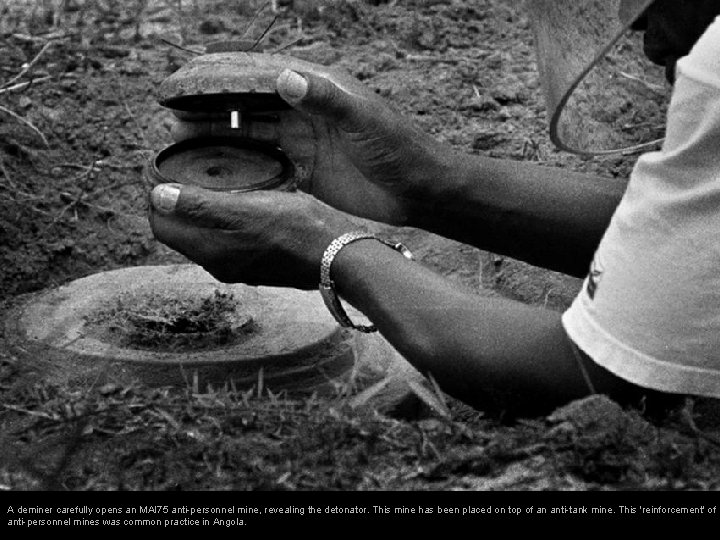 A deminer carefully opens an MAI 75 anti-personnel mine, revealing the detonator. This mine