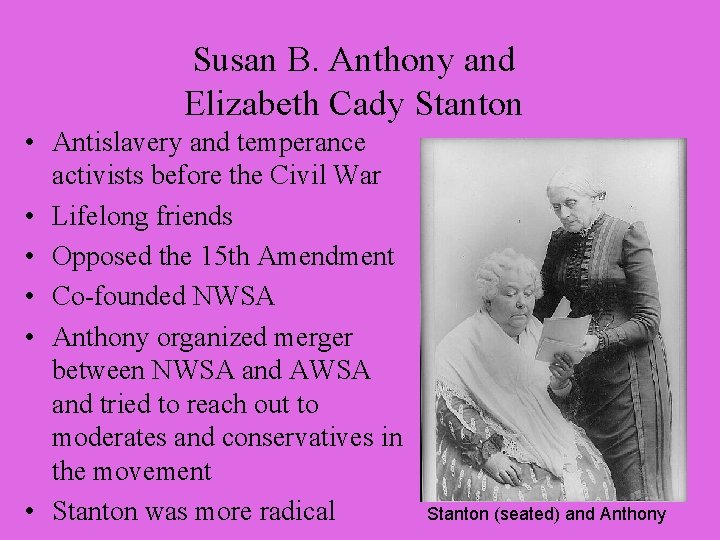 Susan B. Anthony and Elizabeth Cady Stanton • Antislavery and temperance activists before the