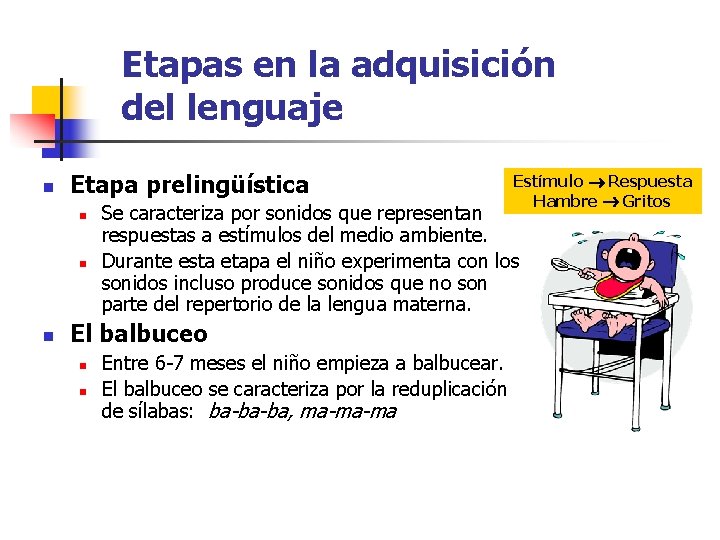 Etapas en la adquisición del lenguaje n Etapa prelingüística n n n Estímulo Respuesta